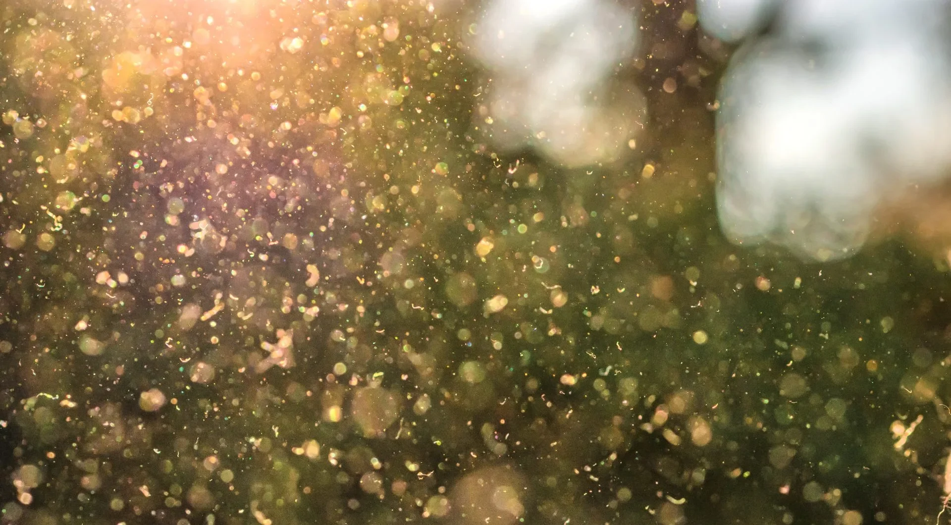 istock 1396794044