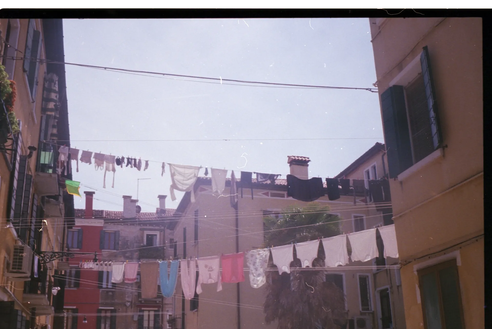 image 1 (4)