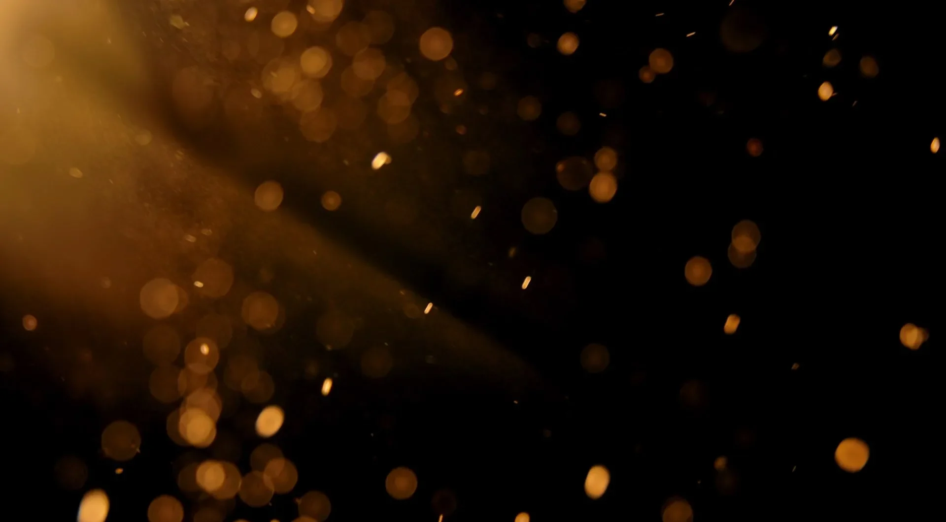 istock 2223927165